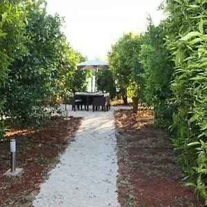 Yurt In Orange Grove , Silves Portugal